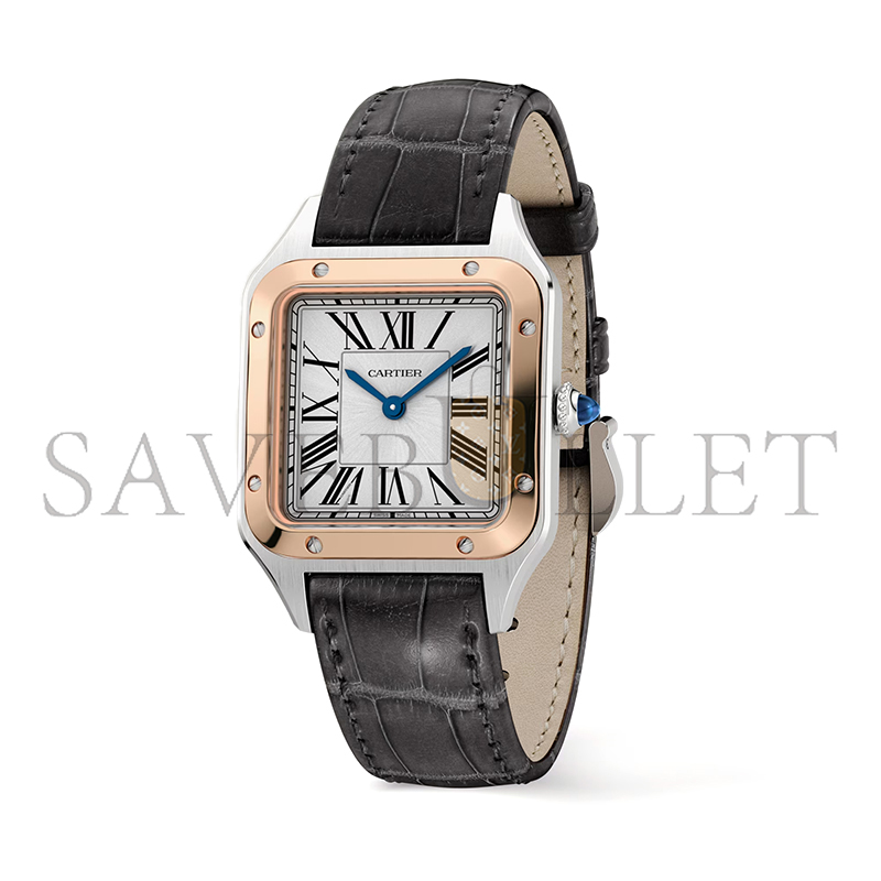 CARTIER SANTOS-DUMONT WATCH 38MM W2SA0012